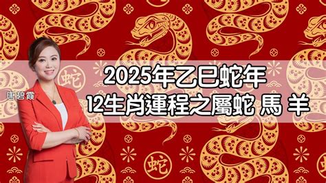 2025年蛇年運程|麥玲玲2025蛇年生肖運程｜最新十二生肖整體運勢/財運/事業/桃花 